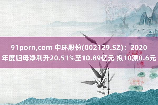 91porn，com 中环股份(002129.SZ)：2020年度归母净利升20.51%至10.89亿元 拟10派0.6元