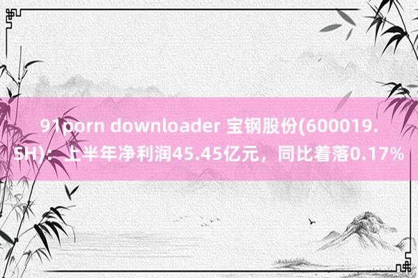 91porn downloader 宝钢股份(600019.SH)：上半年净利润45.45亿元，同比着落0.17%