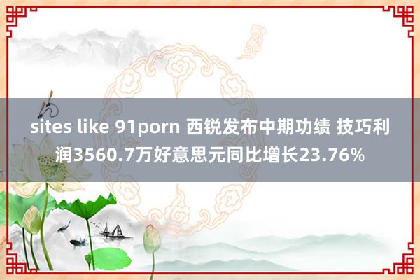 sites like 91porn 西锐发布中期功绩 技巧利润3560.7万好意思元同比增长23.76%