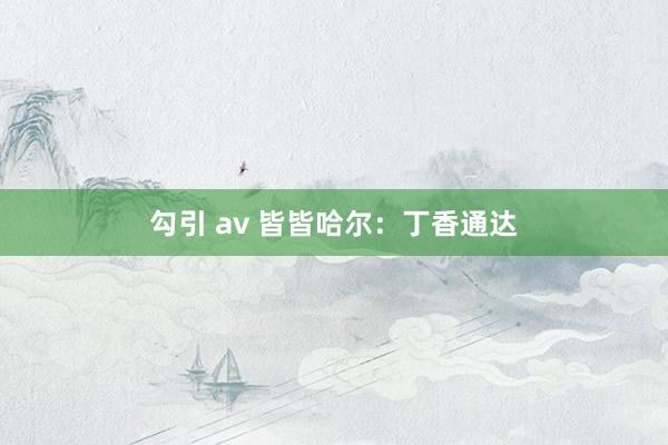 勾引 av 皆皆哈尔：丁香通达