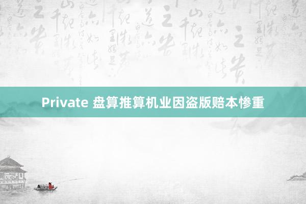 Private 盘算推算机业因盗版赔本惨重