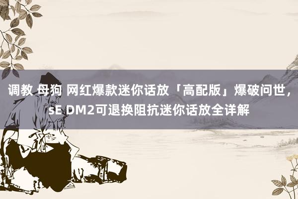 调教 母狗 网红爆款迷你话放「高配版」爆破问世，sE DM2可退换阻抗迷你话放全详解