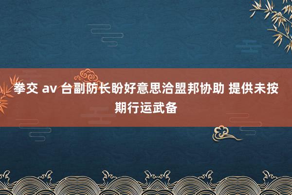 拳交 av 台副防长盼好意思洽盟邦协助 提供未按期行运武备