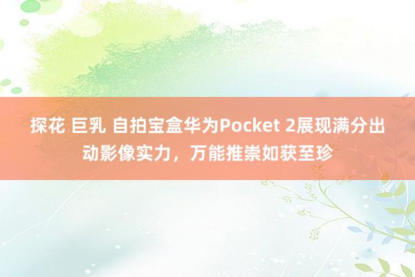 探花 巨乳 自拍宝盒华为Pocket 2展现满分出动影像实力，万能推崇如获至珍